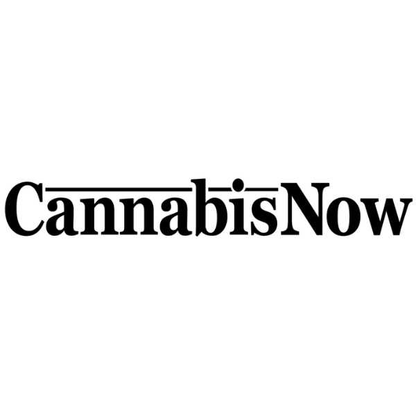 Cannabis Now